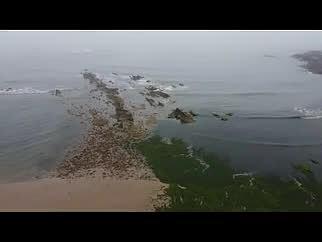 浒苔海滩风景航拍视频的预览图